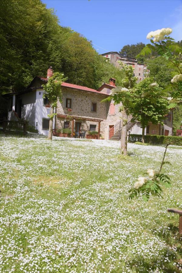 Il Molino Di Serravalle بيبيينا المظهر الخارجي الصورة