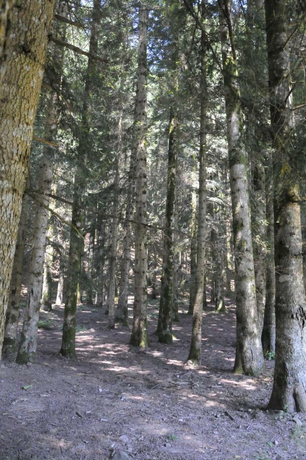 Il Molino Di Serravalle بيبيينا المظهر الخارجي الصورة